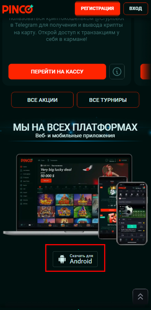 мобильное приложение Пинко